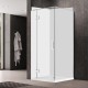 1000*1000*2000mm Chrome Frameless Swing Door Square Shower Box